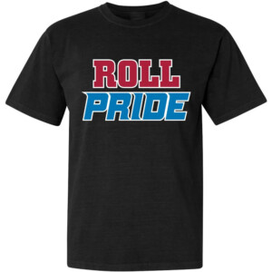 ROLL PRIDE SHIRT Detroit Lions, Black