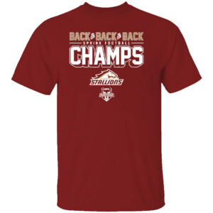 BACK TO BACK TO BACK SPRING FOOTBALL CHAMPS SHIRT UFL, Birmingham Stallions