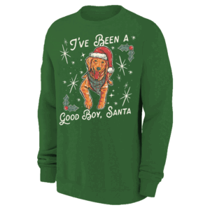 I'VE BEEN A GOOD BOY, SANTA UGLY SWEATER, T SHIRT, HODDIE Loving Dog, Funny Christmas, Barstool