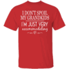 I Don't Spoil My Grandkids I'm Just Very Accommodating Shirt Funny Grandma, Family