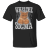 What The Sigma Shirt Meme Y2K Cat Ironic Brainrot Meme T Shirt