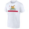 LASAGNA REPUBLIC SHIRT Funny Garfield Cat