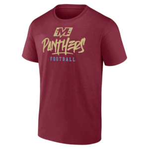 PANTHERS FOOTBALL SHIRT Stylized Text, Michigan Panthers