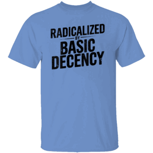 Radicalized By Basic Decency T Shirt Funny Social Democracy Political Tee