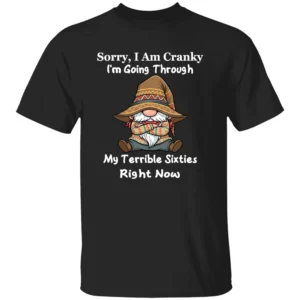 SORRY I AM CRANKY SHIRT My Terrible Sixties Right Now Funny Gnome Tee B