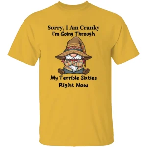 SORRY I AM CRANKY SHIRT My Terrible Sixties Right Now Funny Gnome Tee Go
