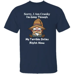 SORRY I AM CRANKY SHIRT My Terrible Sixties Right Now Funny Gnome Tee N