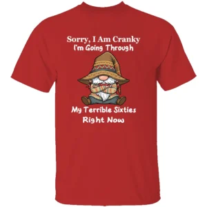 SORRY I AM CRANKY SHIRT My Terrible Sixties Right Now Funny Gnome Tee R