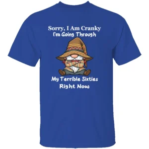 SORRY I AM CRANKY SHIRT My Terrible Sixties Right Now Funny Gnome Tee RB