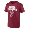 NEVER DAUNTED SHIRT – Indiana Hoosiers Big Ten Champions Football Tee