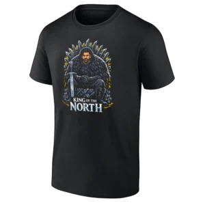 KING OF THE NORTH SHIRT – Aaron Rodgers Pittsburgh Steelers 2025 AFC North Division Champions NFL Playoffs Tee