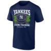 YANKEES 2026 SPRING TRAINING SHIRT – New York Yankees Grapefruit League Tampa FL Tee