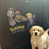 TRUMP POKEMON PARODY SHIRT – Donald Trump “Gotta Catch ’Em All” with Nicolás Maduro, Ali Khamenei & El Mencho Funny Meme Tee1