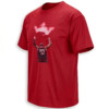 KING JAMES CHALK TOSS SHIRT LeBron James Philadelphia 76ers No. 23