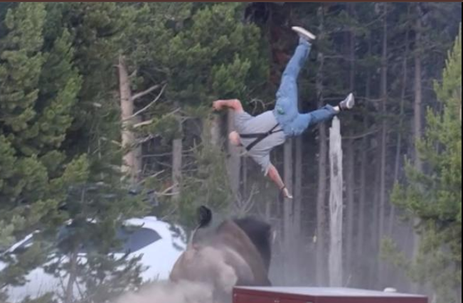 Viral Yellowstone image showing a man tossed into the air by a bull bison at Bridge Bay Campground