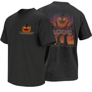 LIMERICK IS GRITTY SHIRT – Flyers Mascot Nuclear Plant Crossover Tee