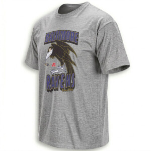 BALTIMORE RAVENS DIABLO SHIRT – Disney NFL Nevermore Poe Shadow Tee