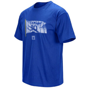 SANTO 10 FLAG SHIRT – Ron Santo Wrigley Retired Number Tee